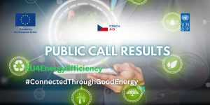 Public Call Results: Expression of Interest for Technical and Financial Support to Energy Efficiency and Renewable Energy Projects in Public Buildings in Bosnia and Herzegovina
